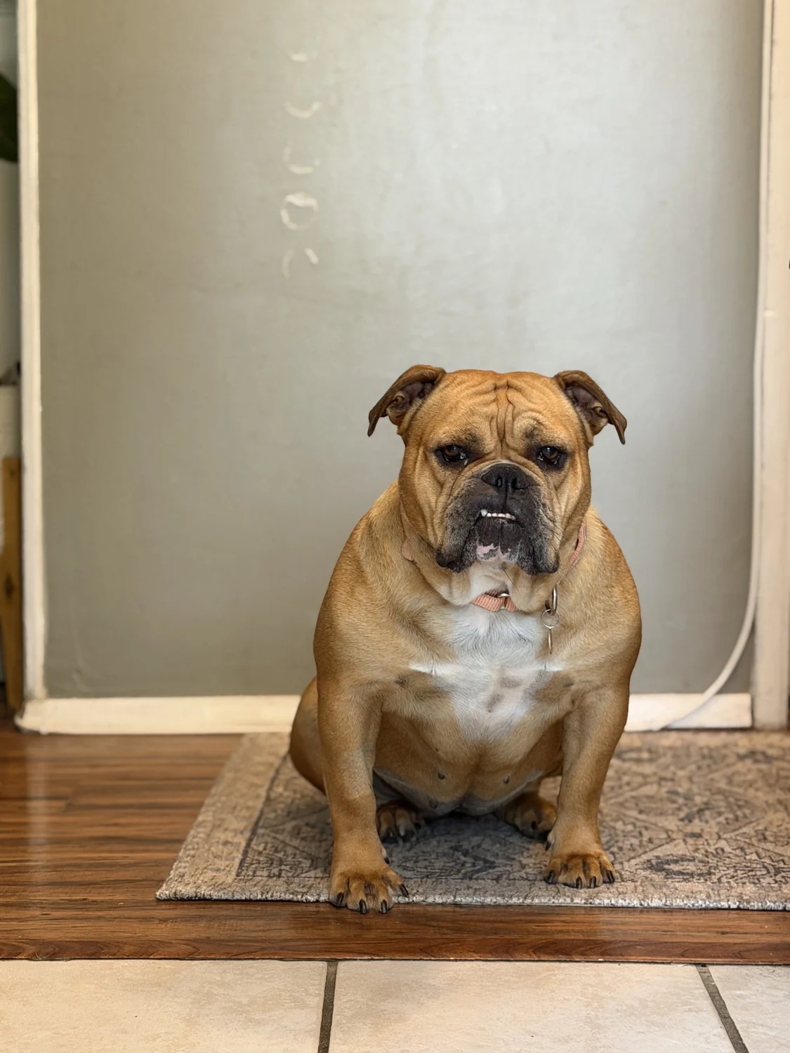Vicki sitting on a patterned mat indoors.